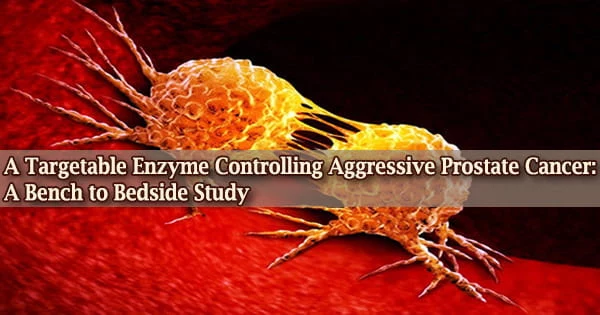 A Targetable Enzyme Controlling Aggressive Prostate Cancer: A Bench to Bedside Study