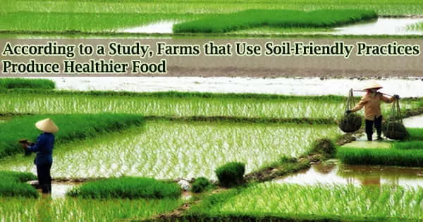 According to a Study, Farms that Use Soil-Friendly Practices Produce Healthier Food