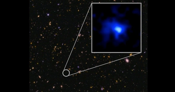 Astronomers have Discovered the Universe’s Farthest Galaxy