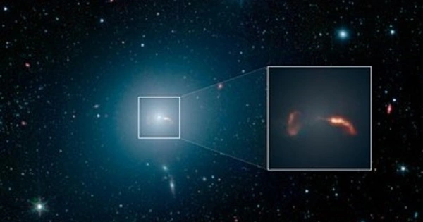 Binary Stars continue to Masquerade as Black Holes