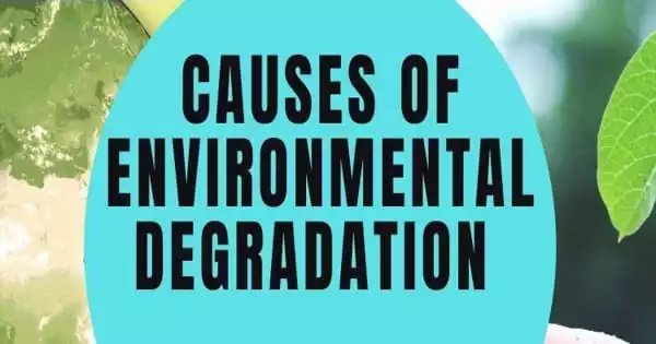 Causes of Environmental Degradation