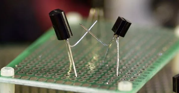 Developed Organic Bipolar Transistor