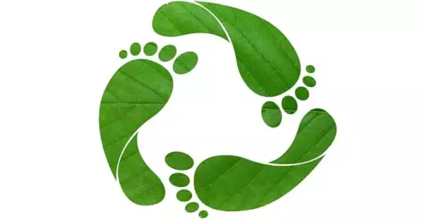 Ecological Footprint – a Tool for Measuring Human Demand