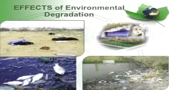 Effects of Environmental Degradation