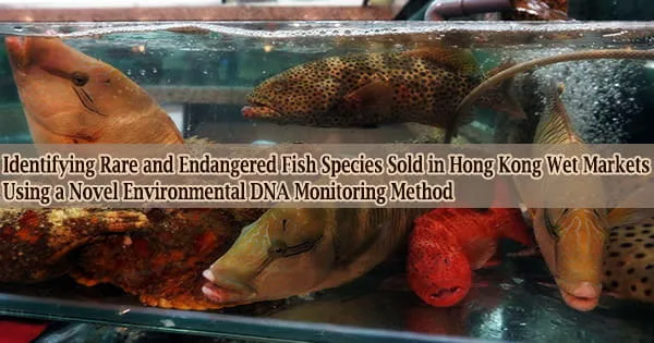 Identifying Rare and Endangered Fish Species Sold in Hong Kong Wet Markets Using a Novel Environmental DNA Monitoring Method