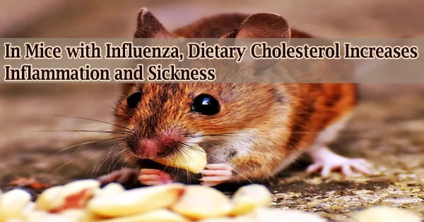 In Mice with Influenza, Dietary Cholesterol Increases Inflammation and Sickness