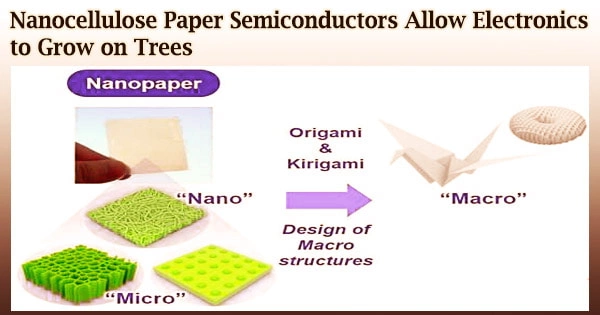 Nanocellulose Paper Semiconductors Allow Electronics to Grow on Trees