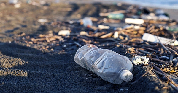 Plastic-Eating Enzyme Could Be the Future of Waste Disposal