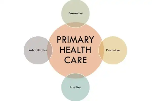 primary health care assignment