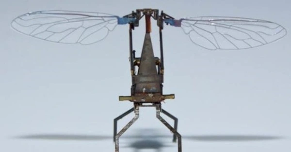 Scientists Create Flying Robots with Flapping Wings the Size of Insects