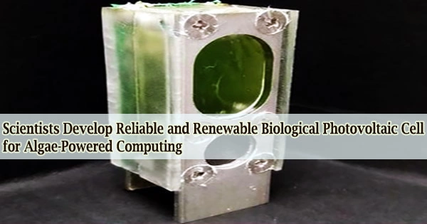 Scientists Develop Reliable and Renewable Biological Photovoltaic Cell for Algae-Powered Computing