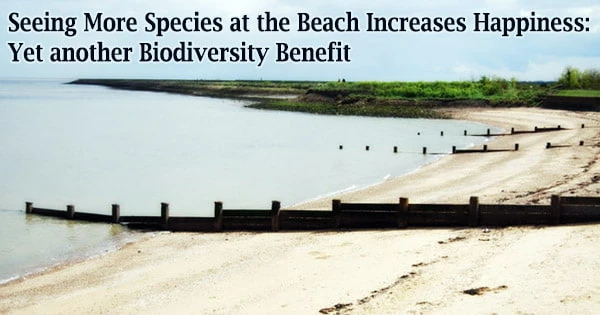 Seeing More Species at the Beach Increases Happiness: Yet another Biodiversity Benefit