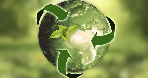 Solutions to Environmental Degradation
