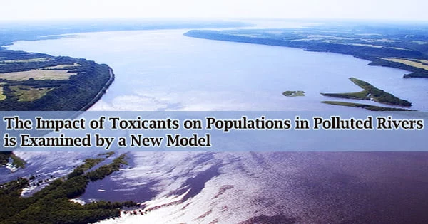 The Impact of Toxicants on Populations in Polluted Rivers is Examined by a New Model