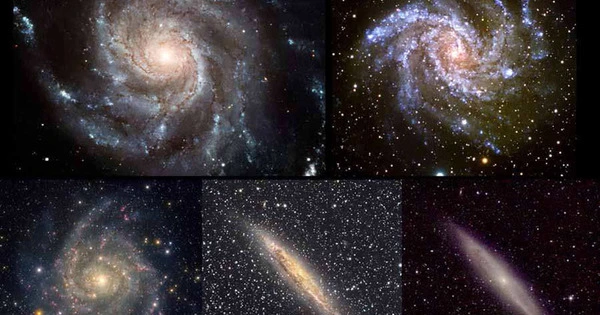 There are Far more Disk Galaxies than Theory Allows