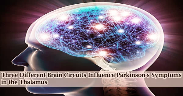 Three Different Brain Circuits Influence Parkinson’s Symptoms in the Thalamus