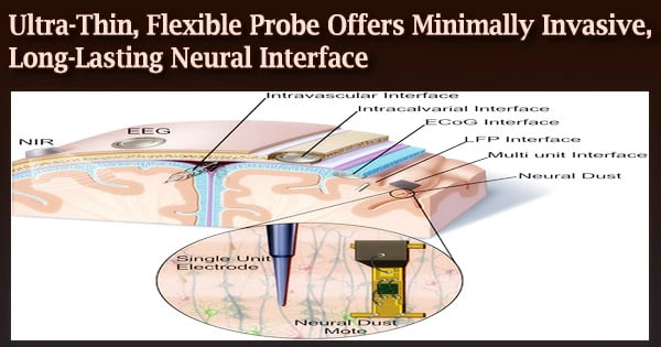 Ultra-Thin, Flexible Probe Offers Minimally Invasive, Long-Lasting Neural Interface