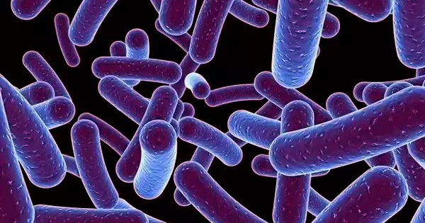 AI is being used to identify a New Gene Family in Gut Bacteria