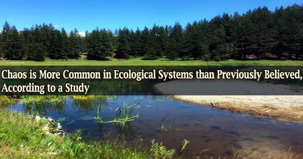 Chaos is More Common in Ecological Systems than Previously Believed, According to a Study