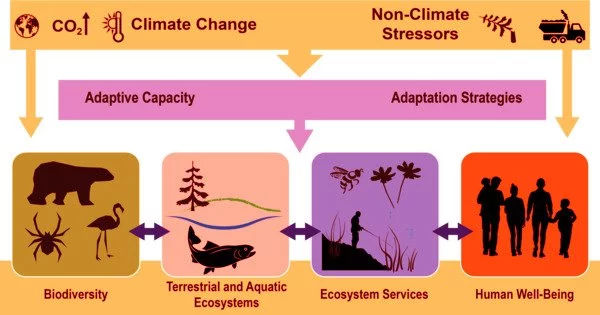 Climate Change Adaptation Requires Proactive Approaches