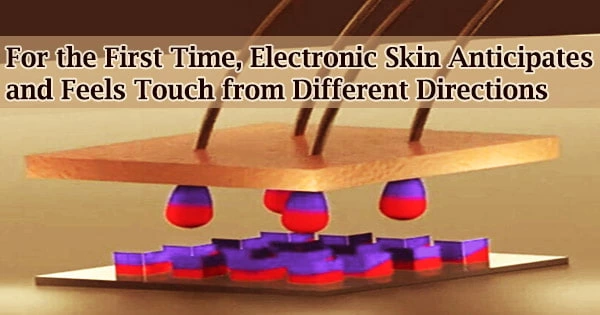 For the First Time, Electronic Skin Anticipates and Feels Touch from Different Directions