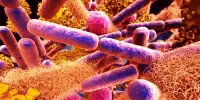 How Gut Microbes can Evolve into Dangerous Pathogens