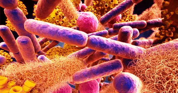 How Gut Microbes can Evolve into Dangerous Pathogens