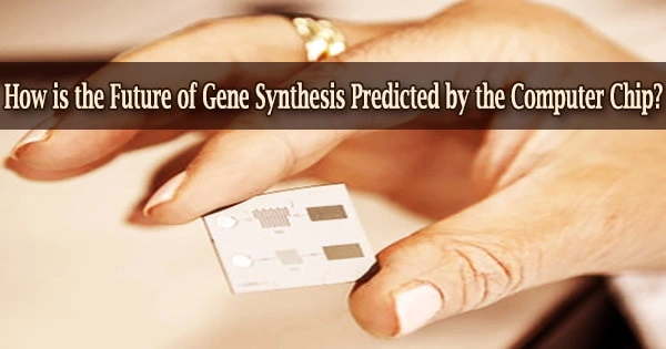 How is the Future of Gene Synthesis Predicted by the Computer Chip?
