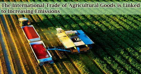 The International Trade of Agricultural Goods is Linked to Increasing Emissions