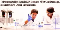 To Demonstrate How Biases in RNA Sequences Affect Gene Expression, Researchers Have Created an Online Portal