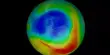 A Large Year-round Ozone Hole over the Tropics has been discovered