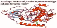 According to New Research, Protein Components must Wiggle and Jiggle to Function Properly