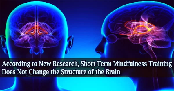 According to New Research, Short-Term Mindfulness Training Does Not Change the Structure of the Brain