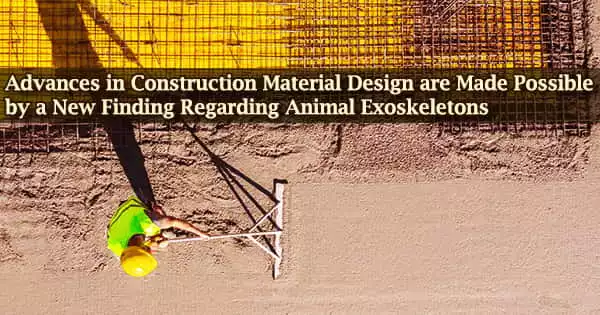 Advances in Construction Material Design are Made Possible by a New Finding Regarding Animal Exoskeletons