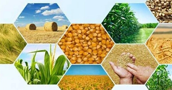 Agricultural Biodiversity