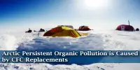 Arctic Persistent Organic Pollution is Caused by CFC Replacements