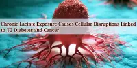 Chronic Lactate Exposure Causes Cellular Disruptions Linked to T2 Diabetes and Cancer
