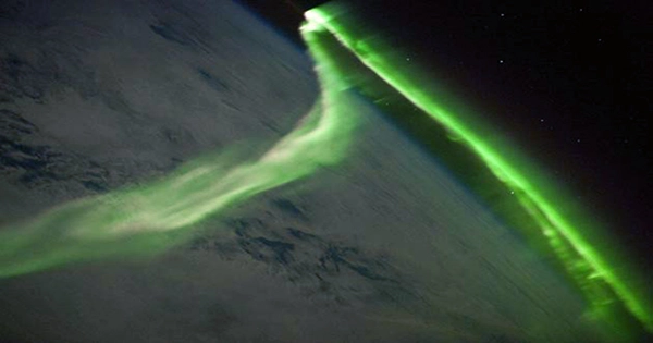 Citizen Scientists See an Auroral Arc Evolve Into the Mysterious STEVE