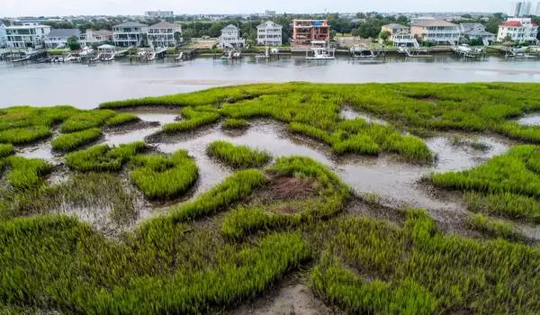 Climate-Change-may-be-exacerbated-by-Coastal-Marsh-Migration-1
