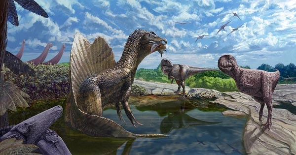 Mega Predator from the Cretaceous Period Just Found?