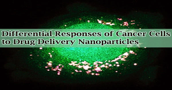 Differential Responses of Cancer Cells to Drug-Delivery Nanoparticles