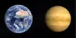 Earth and Venus Grew up to be Boisterous Planets