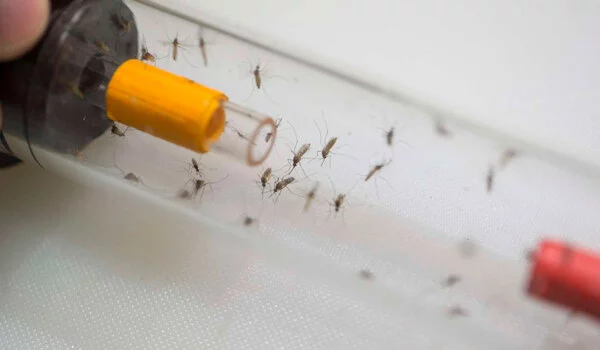 Future-Mosquito-Activity-is-Predicted-by-Climate-Factors-1