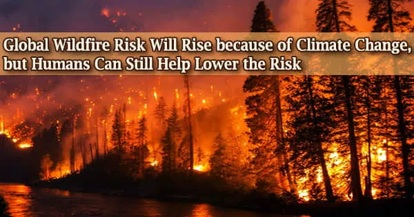 Global Wildfire Risk Will Rise because of Climate Change, but Humans Can Still Help Lower the Risk