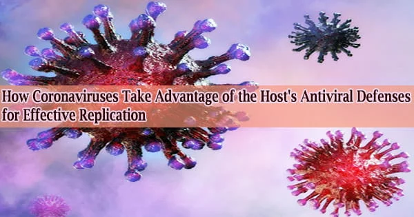 How Coronaviruses Take Advantage of the Host’s Antiviral Defenses for Effective Replication
