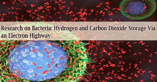 Research on Bacteria: Hydrogen and Carbon Dioxide Storage via an Electron Highway