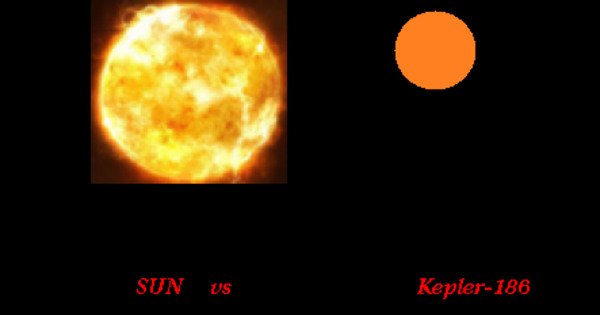 Kepler-186 – a Main-sequence Dwarf Star