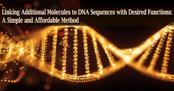 Linking Additional Molecules to DNA Sequences with Desired Functions: A Simple and Affordable Method