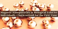 For the First Time, Magnetic Nanoparticles in Biological Vehicles Have Been Individually Characterized