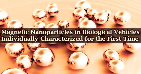 For the First Time, Magnetic Nanoparticles in Biological Vehicles Have Been Individually Characterized